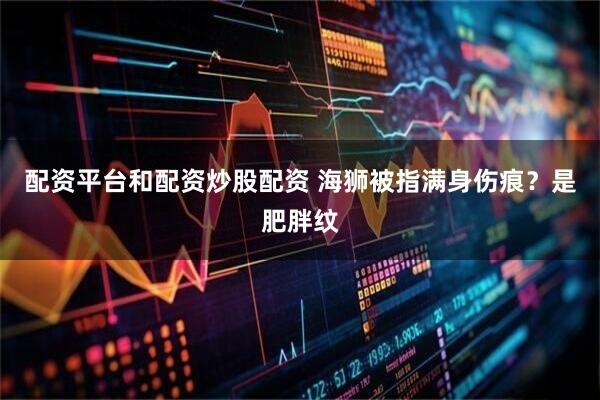 配资平台和配资炒股配资 海狮被指满身伤痕？是肥胖纹